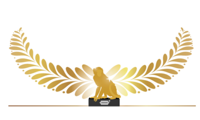 Which API implementation deserves Gold?