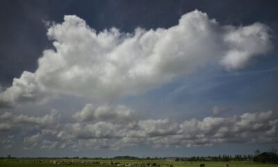 New guidance helps governments adopt cloud services